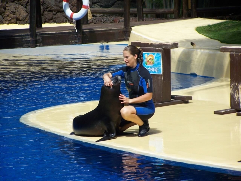 Oasis Park